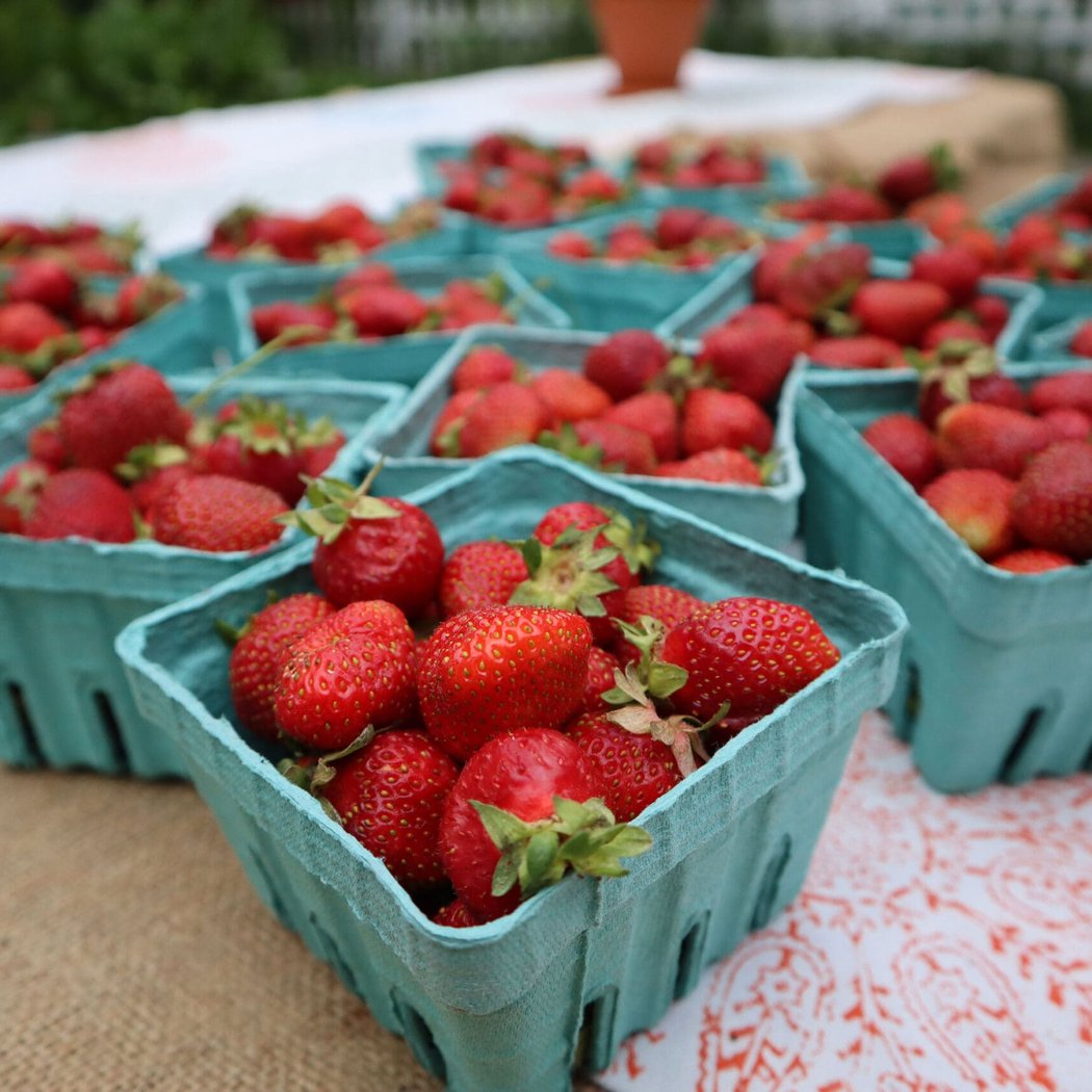 Strawberry Festival 1